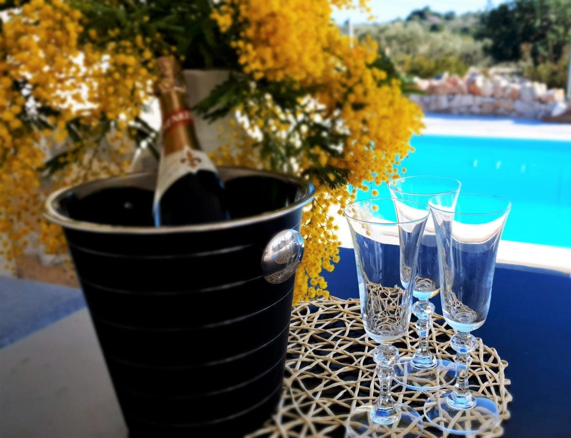Anas Lagoon Holiday House With Pool At Azure Beach Mali Drvenik Dış mekan fotoğraf
